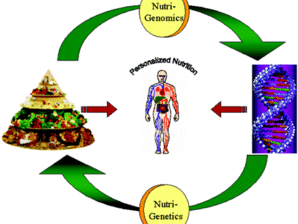 Нутригенетика и нутригеномика - за връзката между храната и гените
