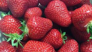 Плод ли е ягодата и защо семките й са отвън?