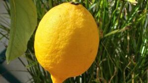 Какво можем да почистим с лимон?