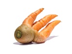Световна конспирация на моркова