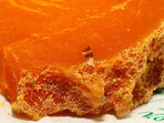 Мимолет - оранжевото сирене на Краля Слънце