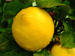 Крем с лимони