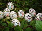 38 забавни снимки на яйца