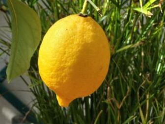 Какво можем да почистим с лимон?