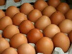 5 факта за яйцата, които не знаехме