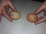 Как да проверим сурово или сварено е яйцето?