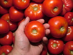 Интересен начин за съхраняване на домати за зимата