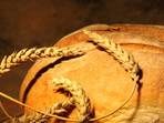 Съветите на Люба: Различните зърнени култури и тяхната употреба